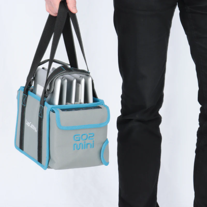 GO2 MINI Basket - Image 8
